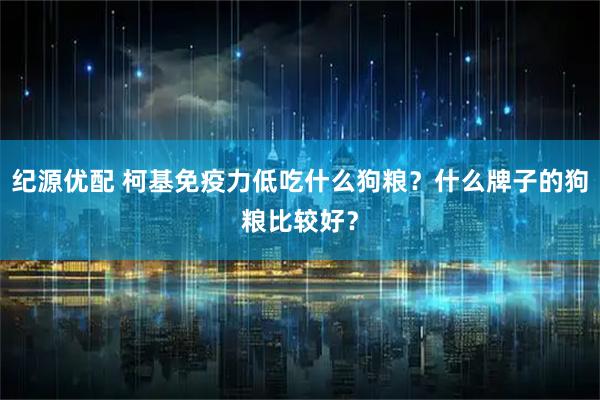 纪源优配 柯基免疫力低吃什么狗粮？什么牌子的狗粮比较好？