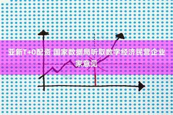 亚新T+0配资 国家数据局听取数字经济民营企业家意见