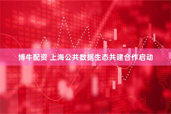 博牛配资 上海公共数据生态共建合作启动