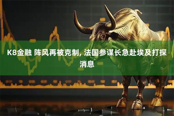 K8金融 阵风再被克制, 法国参谋长急赴埃及打探消息